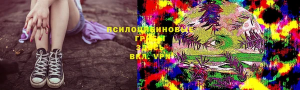 бошки Володарск