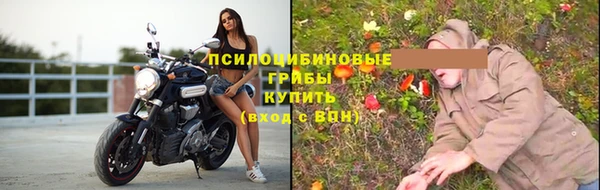 Альфа ПВП Кукмор
