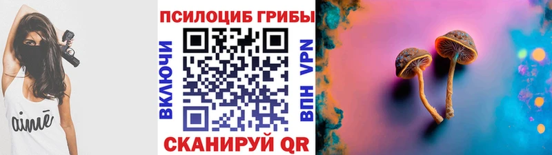 Галлюциногенные грибы мицелий  мега маркетплейс  Канаш  наркотики 